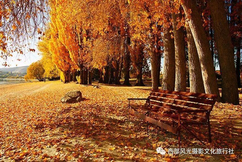 闪送将在全国260个城市提供“春节不打烊” 服务