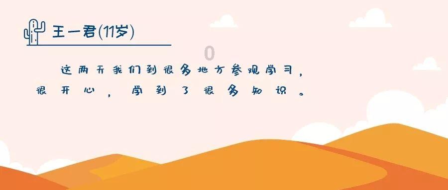 奥利维亚收养猫